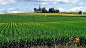 USDA: 45m Acres Of American Land Owned By Foreign Entities