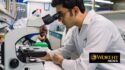 Israeli Scientists Develop ‘Super Sponge’ That Can Soak Up and Help Destroy Oil Spills